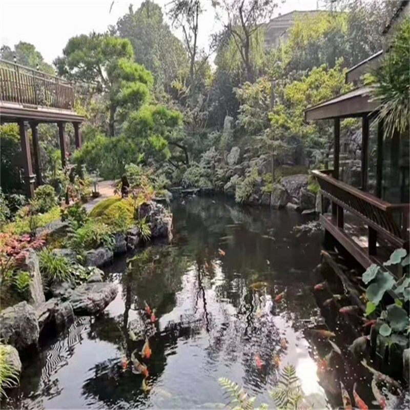 济南假山植物小鱼池